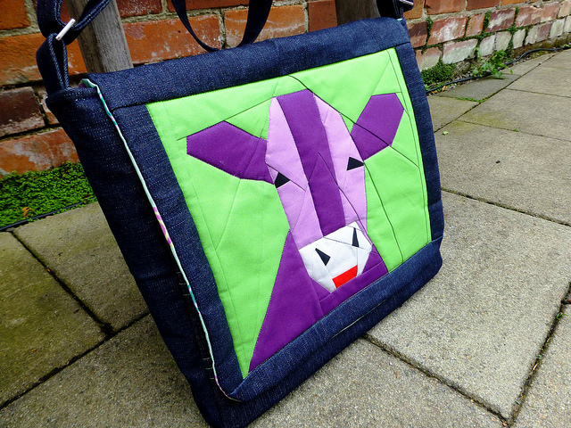 Bethany's Messenger Bag 009